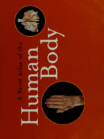 A brief atlas of the human body