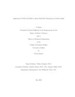 Application of POD and DMD to Study Fluid Flow Phenomena in Porous Media