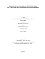 Exploring the Corrosion Behavior of SS316H in Molten NaCl-MgCl2 Salts: An Experimental and Computational Study