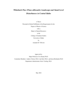 Whitebark Pine (Pinus albicaulis) Landscape and Stand Level Disturbances in Central Idaho