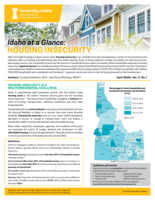 Housing Insecurity (2020)