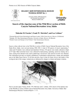 Insects of the riparian zone of the Wild River section of Hells Canyon National Recreation Area, Idaho