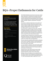 BQA - Proper Euthanasia for Cattle