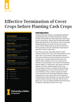 Effective Termination of Cover Crops before Planting Cash Crops