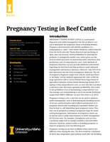 Pregnancy Testing in Cattle