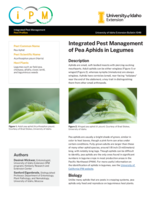 IPM of Pea Aphids in Legumes