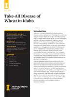 Take-All Disease of Wheat in Idaho