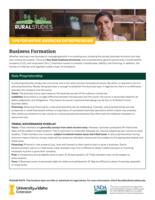 Tips for Native American Entrepreneurs: Business Formation