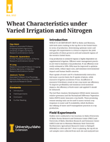 Wheat Grain Yield, Quality, and Spectral. Characteristics in Response to Varied Irrigation and Nitrogen