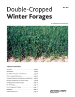 Double-Cropped Winter Forages