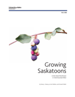 Growing Saskatoons in the Inland NW and Intermountain West