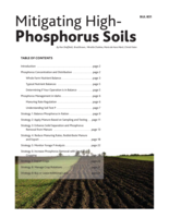 Mitigating High Phosphorus Soils