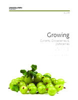 Growing Currants, Gooseberries and Jostaberries in the Inland Northwest and Intermountain West