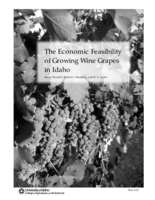 The Economic Feasibility of Growing Wine Grapes in Idaho