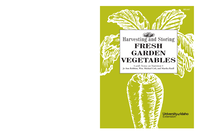 Harvesting and Storing Fresh Garden Vegetables