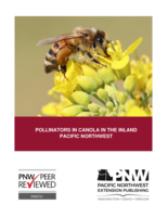 Pollinators in Canola in the Inland PNW