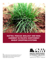 Rattail Fescue: Biology & Mgmt. in Pacific NW Wheat Cropping Systems