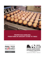 Proper Egg Handling: From Farm or Grocery Store to Table