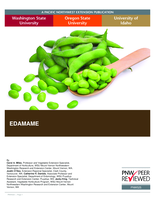 Edamame (Vegetable Soybeans)