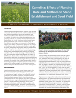 Camelina: Effects of Planting Date and Method on Stand Establishment and Seed Yield