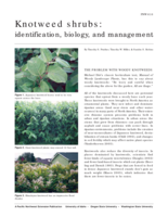 Knotweed Shrubs: Identification, Biology, and Management