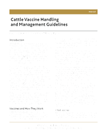 Cattle Vaccine Handling and Management Guidelines