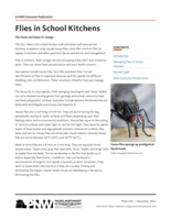 Flies in School Kitchens