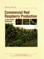 Commercial Red Raspberry Production in the PNW