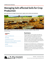 Managing Salt-Affected Soils for Crop Production