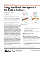 Integrated Pest Management for Ants in Schools