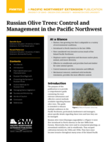 Russian Olive Trees: Control and Management in the Pacific Northwest
