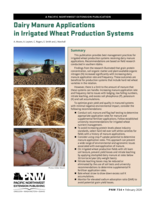 Dairy Manure Applications in Irrigated Wheat Production Systems
