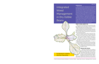 Integrated Weed Management in Dry Edible Beans