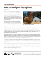 How to Feed Your Laying  Hens