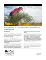 Managing Russian Thistle Under Conservation Tillage