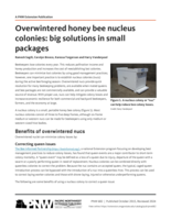Overwintered Honey Bee Nucleus Colonies: Big Solutions in Small Packages