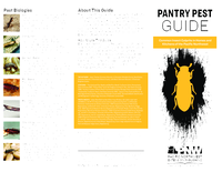 Pantry Pest Guide