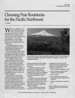 Choosing Pear Rootstocks for the Pacific Northwest