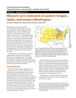 Western corn rootworm in eastern Oregon, Idaho, and eastern Washington