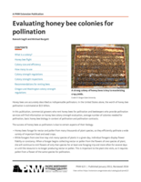 Evaluating Honey Bee Colonies for Pollination