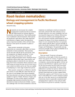 Lesion Nematodes