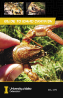 Guide to Idaho Crayfish