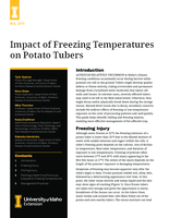 Impact of Freezing Temperatures on Potato Tubers