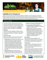 Liability in E-Commerce