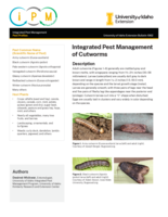 IPM of Cutworms