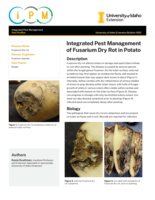 IPM of Fusarium Dry Rot in Potato