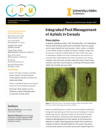 IPM of Aphids in Cereals