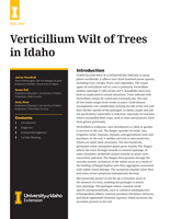 Verticillium Wilt of Trees in Idaho