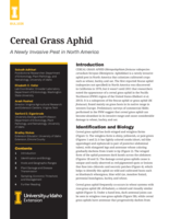 Cereal Grass Aphid: A Newly Invasive Pest in North America