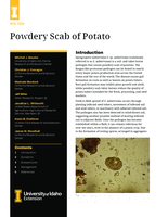 Powdery Scab of Potato